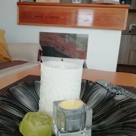 Beganovic 아파트 *